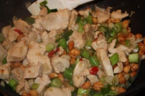 Chilihühnchen mit Erdnüssen